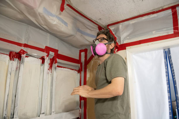 Trusted Kirkwood, MO Mold Removal Experts